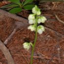 응석사주차장 이미지