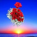 정플라워 - 구미시 비산로5안길 9 | 정플라워