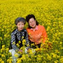 위림초교 이미지