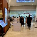 포레드썸머