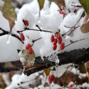 뚝섬한강공원-11 이미지