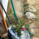 울타리영농조합법인 이미지