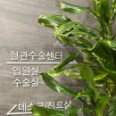 편안하지흉부외과의원 이미지