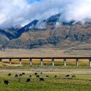 티베트 여행 교통 전략 : 기차 vs. 비행기? 장단점 비교 + 추천 교통수단 이미지