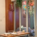 델쿠치나 이미지