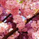 즐거운노래 이미지