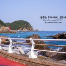 헌화로 이미지
