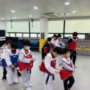 베스트태권도장 이미지