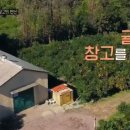 커피프렌즈 티스토리