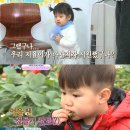 태오농장 이미지