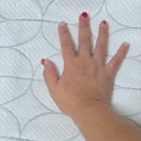 포렌하우스 이미지