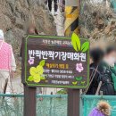 (주)건연화물 석계주유소 | 기장 매화원과 해녀촌 나들이(26.03.01방문)
