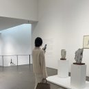 비올렛트