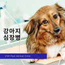 회원종합동물병원 이미지
