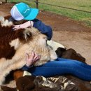 안고농장 이미지