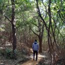 우리집카공업사 이미지