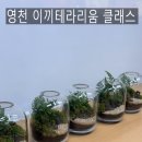 영천시종합사회복지관 | [영천테라리움]이끼테라리움 영천시종합사회복지관 심심정원 마음보듬자조모임