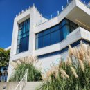 오알카페 | 🌊 제주 오알카페 (OAR CAFE) 브런치세트 &amp; 아메리카노 후기 내돈내산