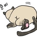 소도구 힐링요가 이미지