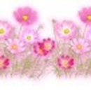 평화직업재활원 이미지