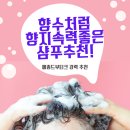 라벤드헤어 | 향이 좋은 샴푸 추천. 향수를 왜써? 샴푸면 충분해~