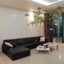 연세.모던피부과의원 이미지