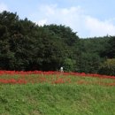 도선국사마을 이미지