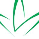 김정문알로에 이미지