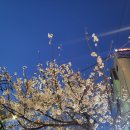 인용한의원 이미지