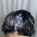 시그니처에디션 | 공부왕찐천재 홍진경 에디션 탐즈 시그니처 샴푸 500ml 솔직후기