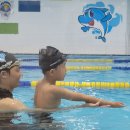 네오키즈스윔 이미지