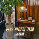 고페르 - 화성시 동탄순환대로12길 8 | 장모님도 만족하신 대추차! 용인힐링카페 고페르 가족 나들이 후기