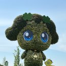 꽃안애 | 고양 꽃박람회 🌼🌻꽃길은 걸었지만 2% 아쉬웠던 관람 후기