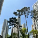 사가정아이파크 어린이집 이미지