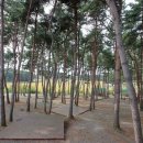 늘푸른캠핑장 이미지