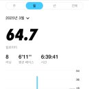 2025 동아마라톤 서울마라톤 풀코스 부상투혼 후기