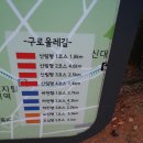 11월22.146차 산행 구로구개봉동 매봉산 올례길로 변경 이미지