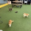 달빛테라스 이미지