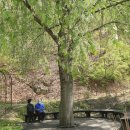 제이드부동산공인중개사사무소 | 봄의 환상이 가득한 곳 춘천 제이드가든 수목원