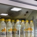 제주마당 이미지