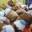 왕오락실 이미지