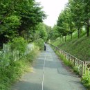 휴대폰거리 이미지