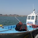 태극호좌대 이미지