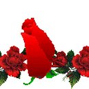 남산오리농장 이미지