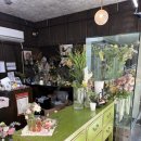 남자친구 부모님 첫인사 선물 ② 동탄 꽃집, 동탄역 꽃집 ｜플리마인 플레르