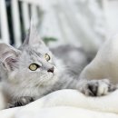 원주브리딩 이미지