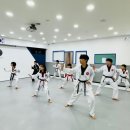 위너스태권도 이미지