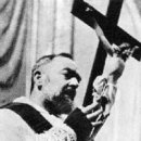 (주)비오 이미지