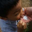 수평목장 이미지