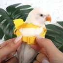 날개 - 서초구 신반포로 200 | 날개